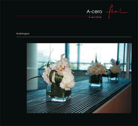 A-cero Floral