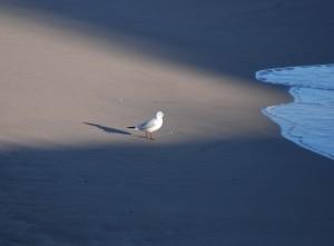 EL DON DE LA VULNERABILIDAD (I)