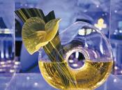 Este domingo esperamos 'Sunday Shopping' A-cero MADRID