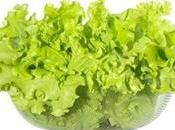 Dieta tonos verdes Dra. Jose Barba Martínez