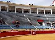 Cartel joven para Bernabé Marbella