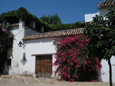 UN VERANO DE GUIÓN: ELEMENTOS CLAVES PARA DECIDIRSE A HACERLO (APLICABLES A CUALQUIER TALLER DE GUIÓN)