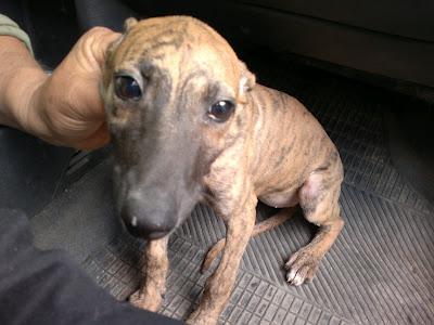 AYUDA POR FAVOR...ESTO ES DESESPERANTE!!! SEVILLA