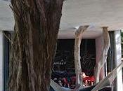 espacio para disfrutar