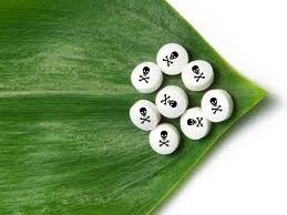 Plantas curativas, prohibidas por las farmacéuticas