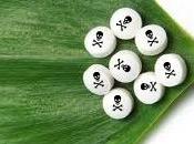 Plantas curativas, prohibidas farmacéuticas