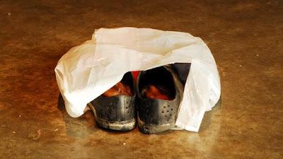 37ª maac-chorrada - OLOR A CALAMARES