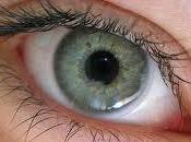 ojos: posible ventana hacia salud cerebro