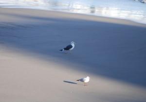 EL DON DE LA VULNERABILIDAD (y II)