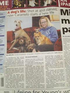 Historias de adoptad@s. Caramelo