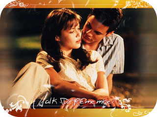 Películas de Nicholas Sparks