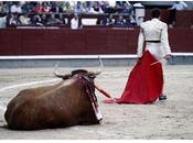 Sobre “juampedrada” Ventas