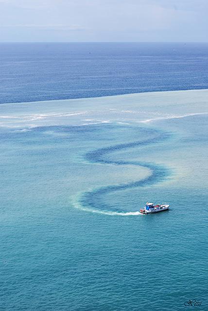 ONLY GOES TO THE BEACH !