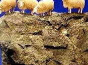 peligros falsa enseñanza