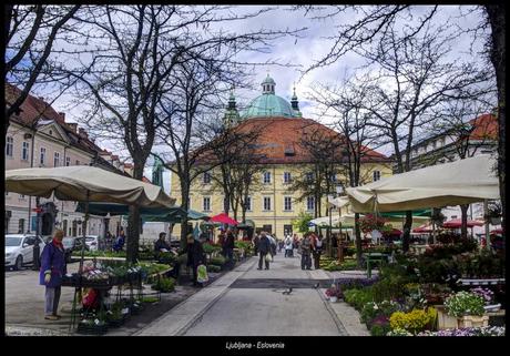 Perfil de Ljubljana...