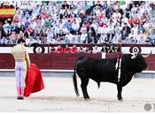 Sobre “juampedrada” Ventas, escribe Rafael Cabrera