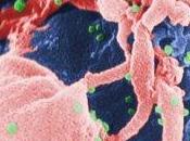 Salud Malas: ¿VIH Contra Cáncer?