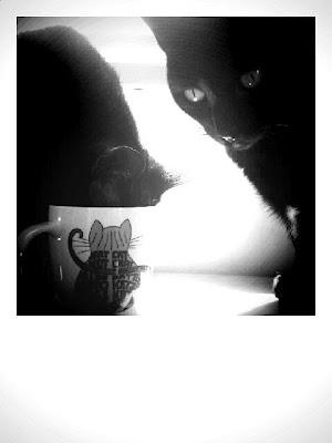 fotos del concurso #mitaza