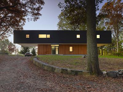 Minimalista en el Bosque