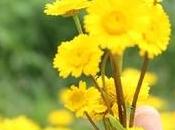 Plan B.....Cuéntanos planes edición Boulevard Magazine