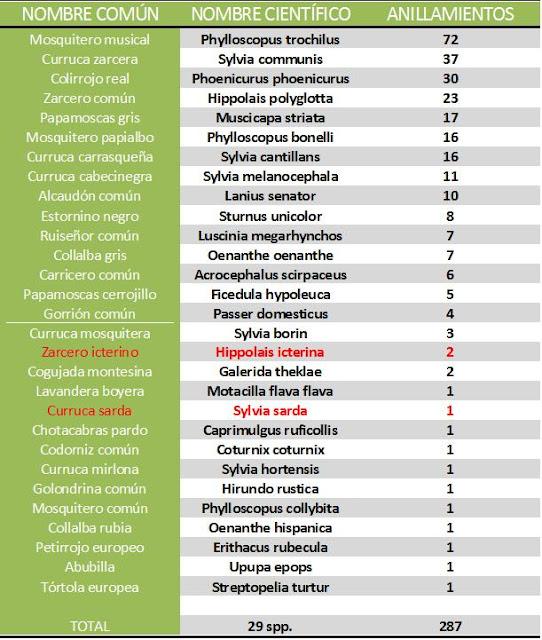 15 días en la Isla de Tabarca (Alicante, España) - Proyecto Piccole Isole  --  30/4 - 15/5/12