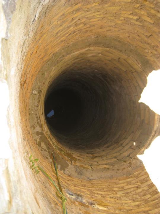 GALGA TIRADA A UN POZO. IMPRESIONANTE HISTORIA DE SUPERVIVENCIA.