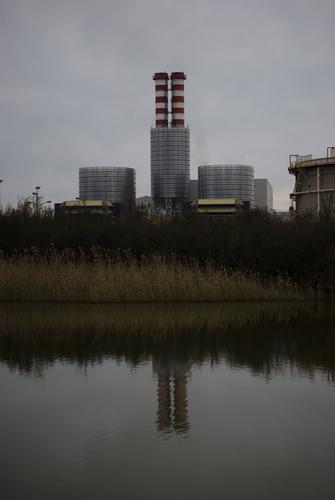 Conociendo Sicilia: Riserva di Vendicari y Riserva delle saline de Priolo