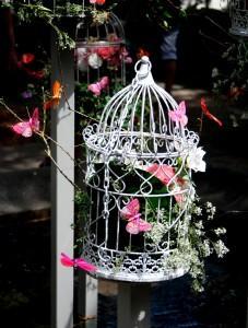 PERSIGUE TUS SUEÑOS