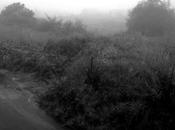 Caminos extraños...