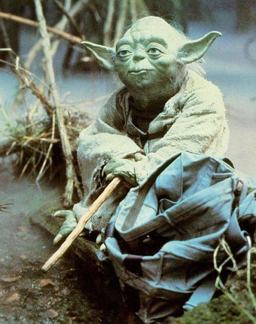 Momentum y Frases de Yoda
