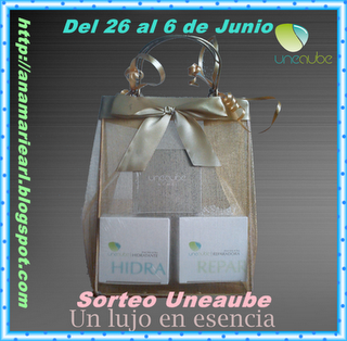 Sorteo Uneaube