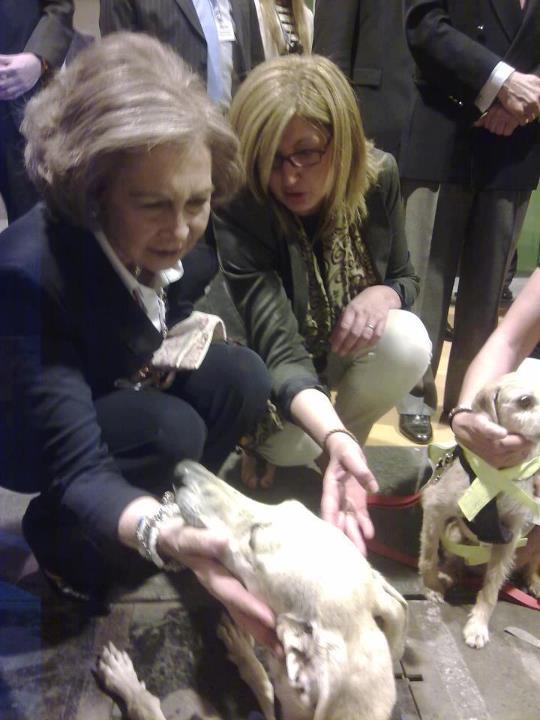 La Reina Doña Sofia es informada in situ de la situación de los galgos españoles en 100x1000 mascotas