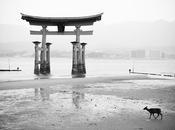 Miyajima