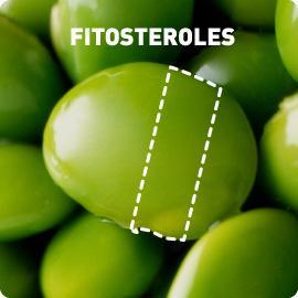 P & R: ¿Qué son los fitoesteroles?