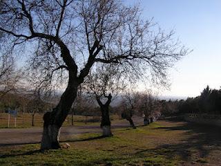 El Ministerio de Medio Ambiente crea un nuevo portal sobre residuos