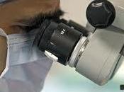 Investigación sobre terapias conjugadas frente cáncer