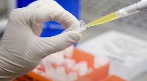 Cada vez está más cerca la vacuna de la malaria