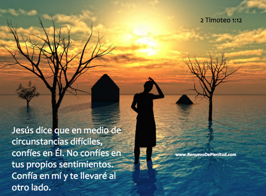 Que precio voy a pagar???