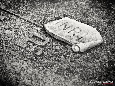 Los campos de la muerte