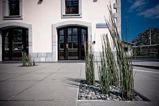 Hotel Villa Marrón por Dstudio | diseño del paisaje