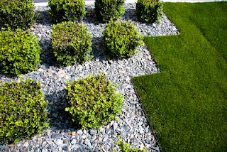 Hotel Villa Marrón por Dstudio | diseño del paisaje