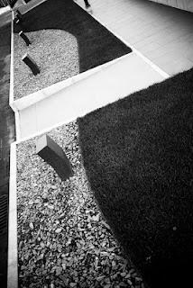 Hotel Villa Marrón por Dstudio | diseño del paisaje