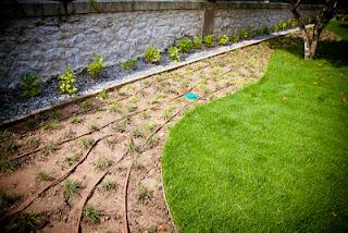 Hotel Villa Marrón por Dstudio | diseño del paisaje