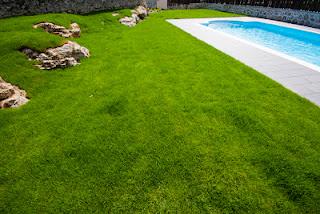 Hotel Villa Marrón por Dstudio | diseño del paisaje