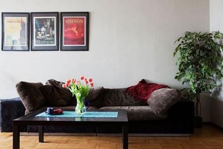 plantas y decoracion