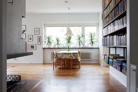 las plantas y la decoracion