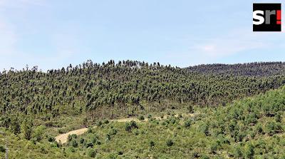 Tras las huellas de una mina para desenterrar voces