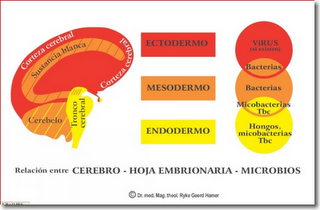 Los conflictos emocionales pueden provocar sobre peso y otras enfermedades