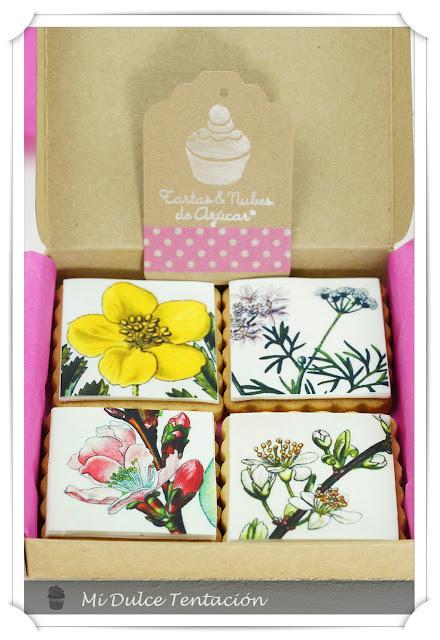 Curso On Line de Galletas - Una Sorpresa muy Especial - Mini Sorteo