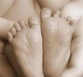 La falta de estímulo en etapas tempranas provoca conductas violentas